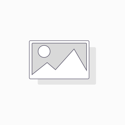 Fire Kevlar Gloves